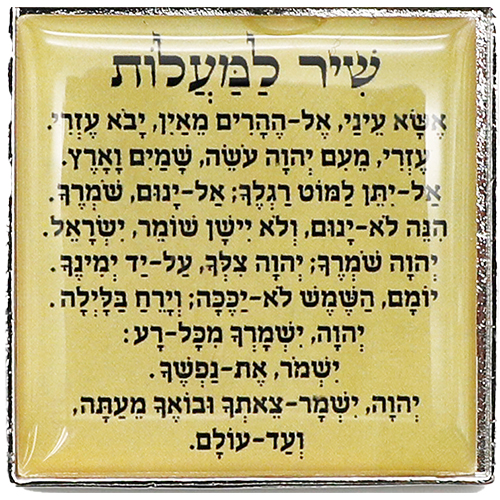 מחזיק מפתחות אפוקסי 6 ס״מ