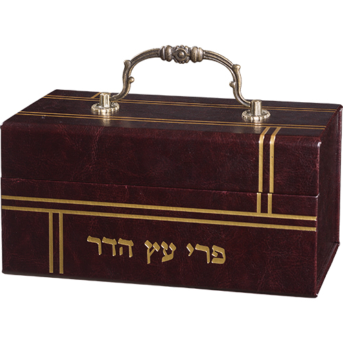 קופסא מהודרת לאתרוג דמוי עור עם ידית 13×19 ס״מ