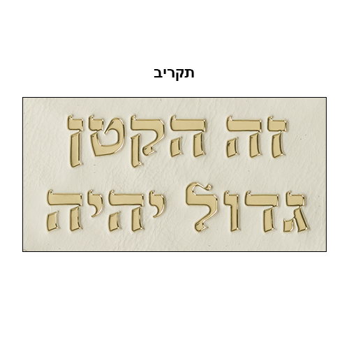 כרית מהודרת לברית דמוי עור עם אותיות בולטות 74×50 ס״מ