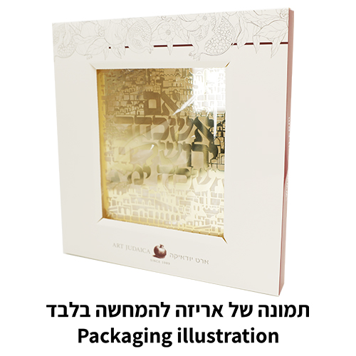 מסגרת אקריליק מהודרת עם פלקטה 23×24 ס״מ