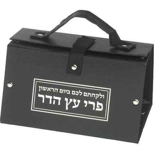 Faux Leather Etrog Box 11*19*13 with Silver Print