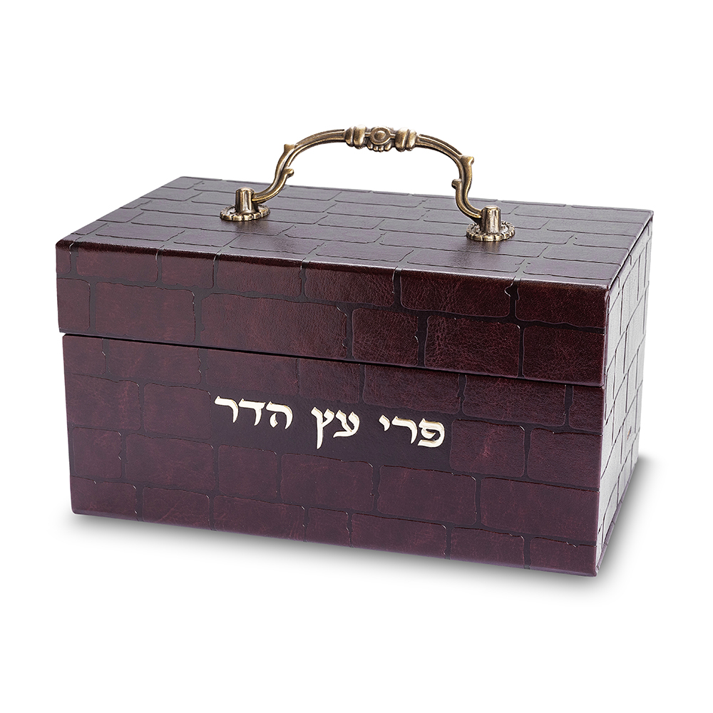קופסא מהודרת לאתרוג דמוי עור עם ידית "כותל" 11×20×12 ס״מ