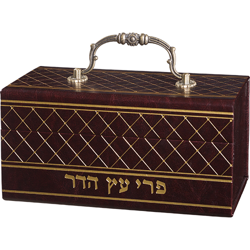 Leatherette Etrog Box with Handle & Lock 13*19*11 cm - Brown